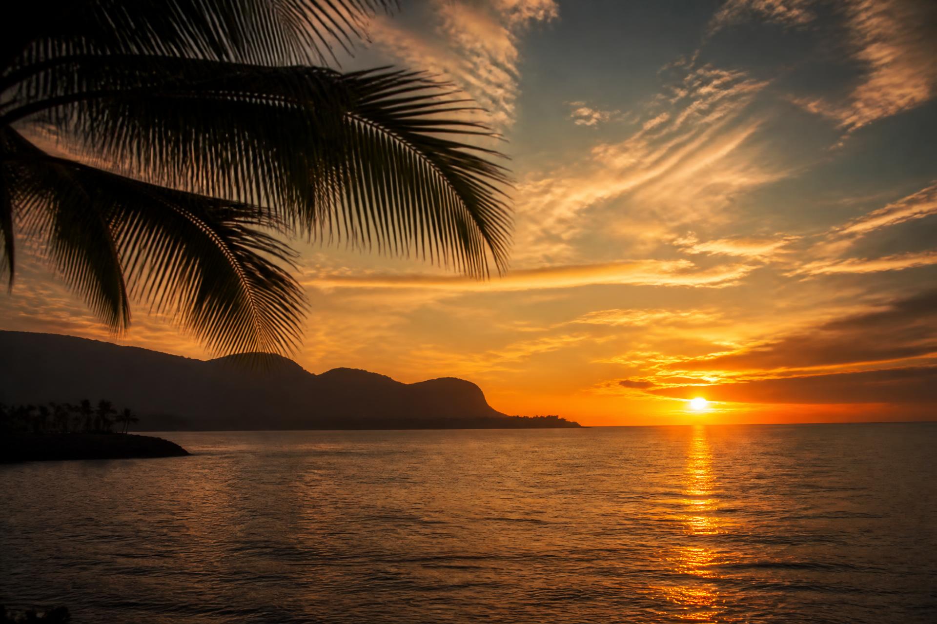 A Hawaiian sunset over the Pacific, framed by palm fronds
